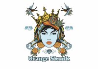 Cannabis King - Orange Skunk Indoor CBD Chunks - 5g