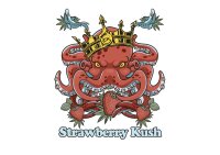 Cannabis King - Strawberry Kush Indoor CBD Chunks - 10g