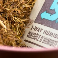 Fred - Gelb - Dose - 80g