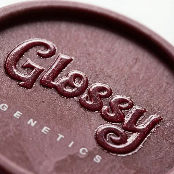 Glossy - Hanf Grinder - Velvet