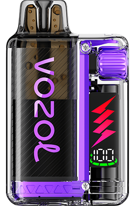 VOZOL - Vista Plug Starter Kit - 20mg/ml - Blueberry Raspberry Lemon