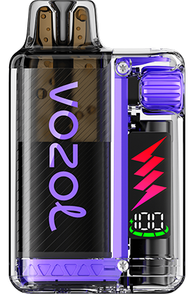 VOZOL - Vista Plug Starter Kit - 20mg/ml - Blueberry Sour Raspberry