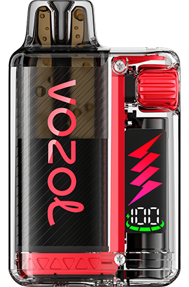 VOZOL - Vista Plug Starter Kit - 20mg/ml - Strawberry Raspberry Cherry