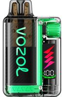 VOZOL - Vista Plug Starter Kit - 20mg/ml - Watermelon Ice