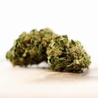 Herba di Berna - Oudoor CBD Bl&uuml;ten - Cannatonic - 40g